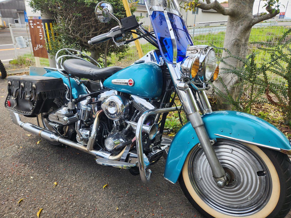 寝ルケス@Lino代表 tweet media