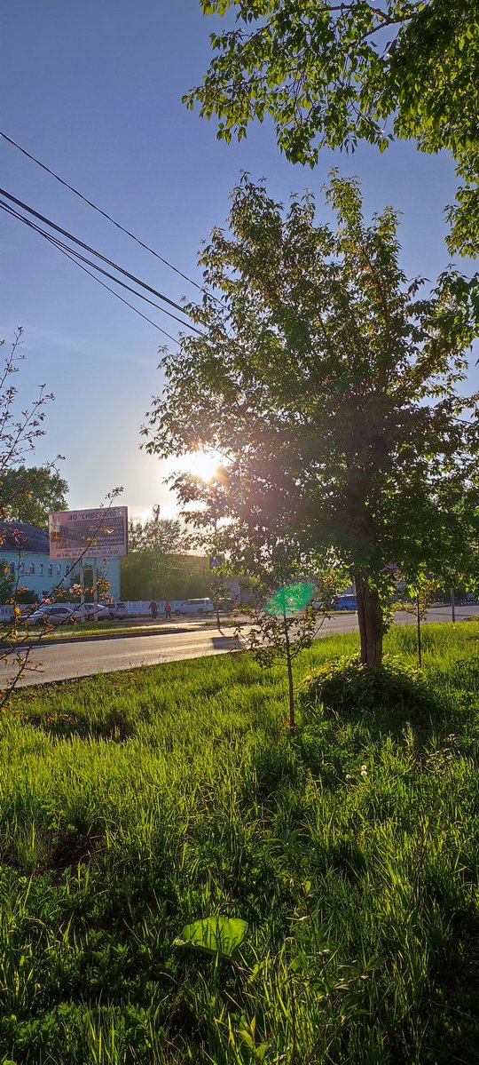 Dinosautrik (Commission open) tweet media