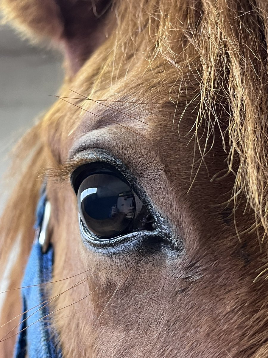 おっこ tweet media