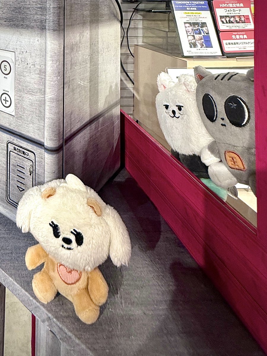 TXT JAPAN OFFICIAL tweet media