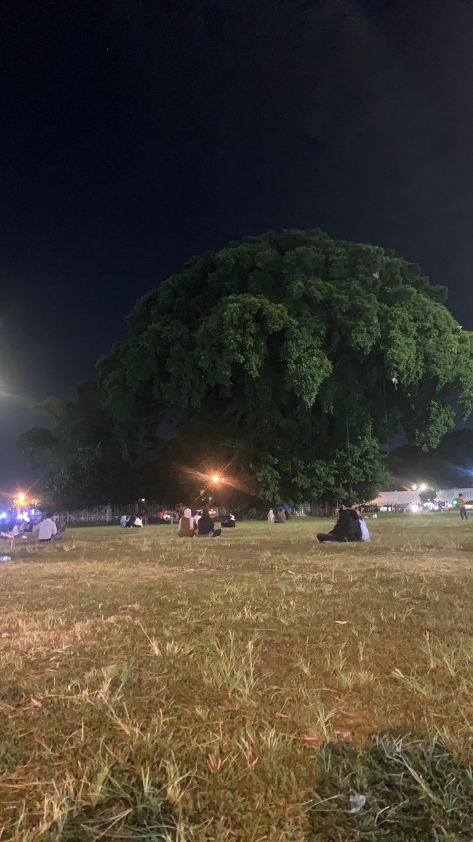 Domu Siregar tweet media