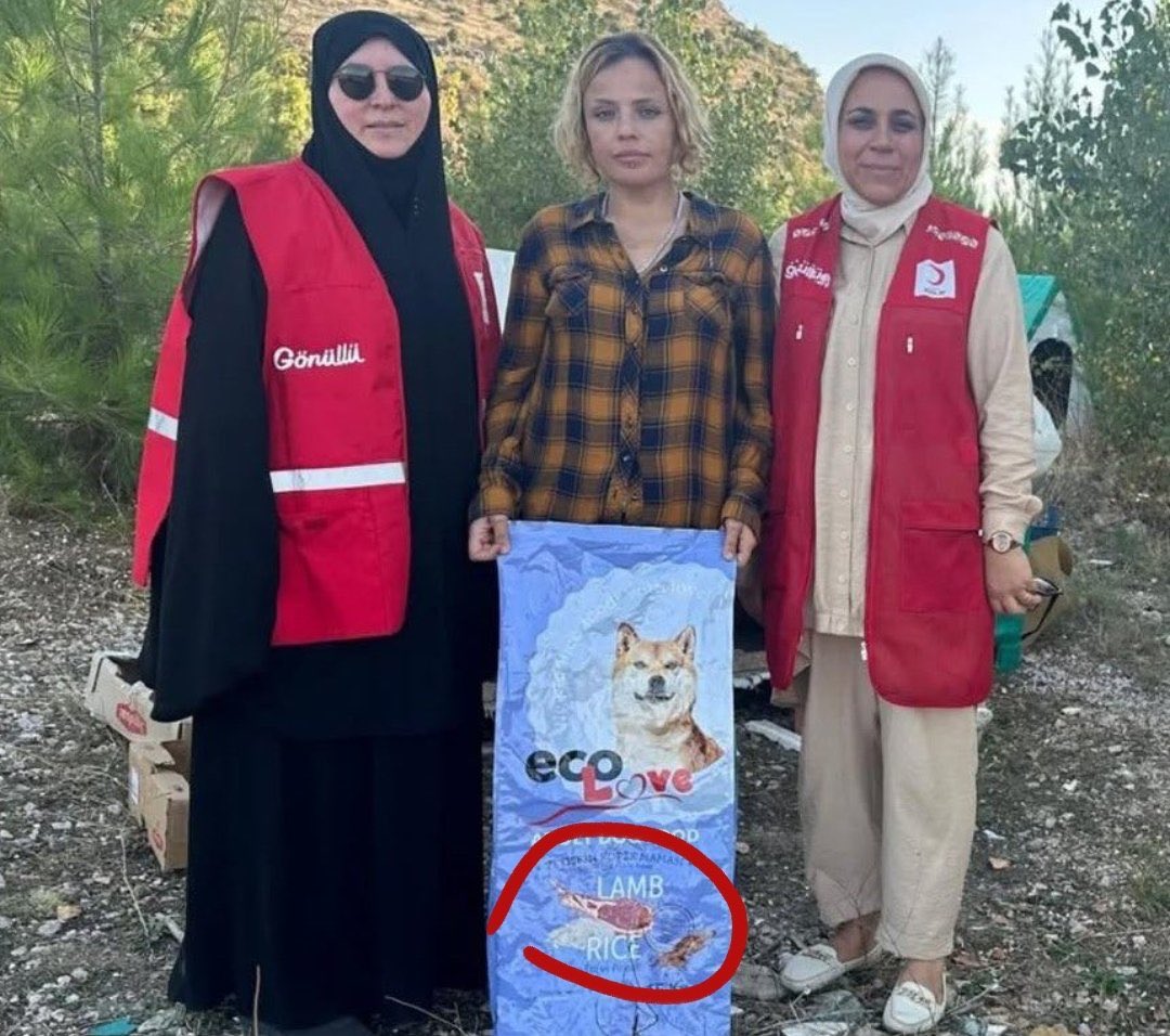 Orhan Toker (Dijital Baba) tweet media