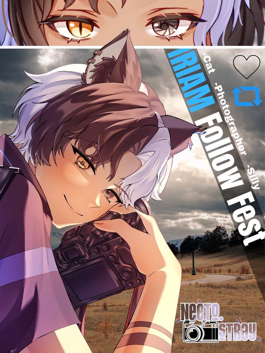 Neeto.stray 🐈📸💥 tweet media