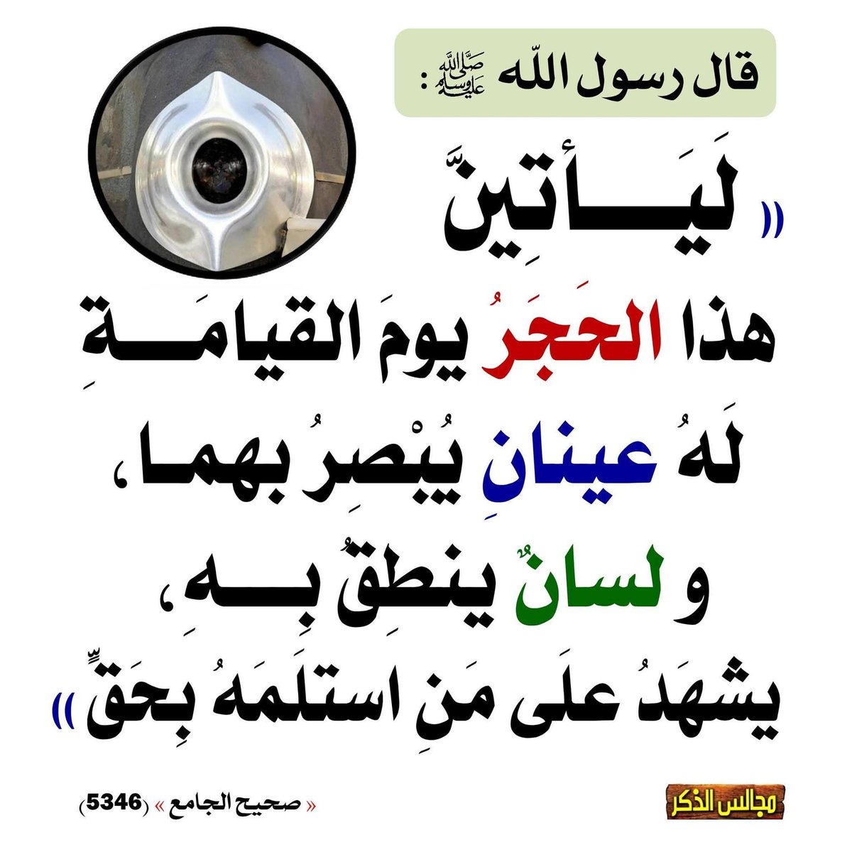 عادل بن أبي بكر tweet media