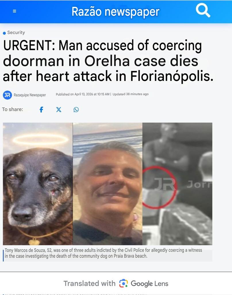 PhaedraXTeddy's tweet image. Witness of crime against BeachDog #Orelha  was threatened with a gun by relative of suspect. Man with gun just past away.