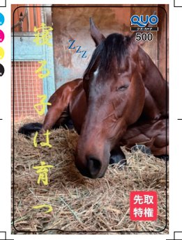 三岡 陽 tweet media