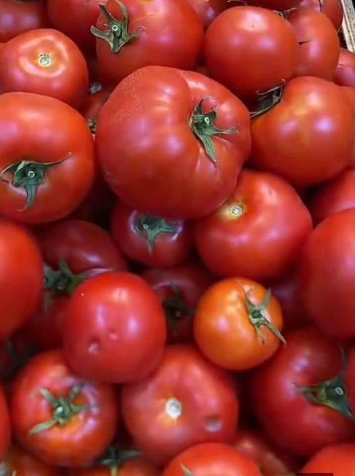 اشراقات tweet media