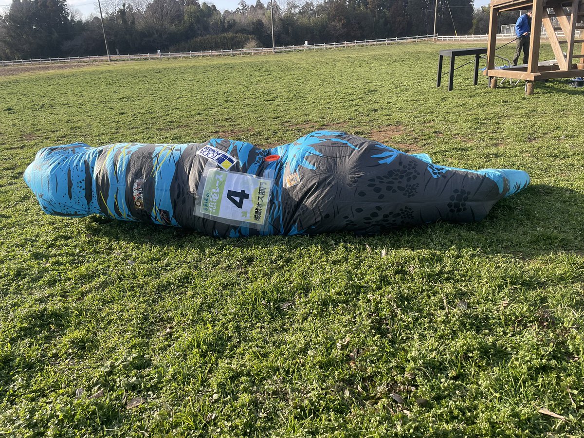 ゴロザウルスジュニア🦖 tweet media