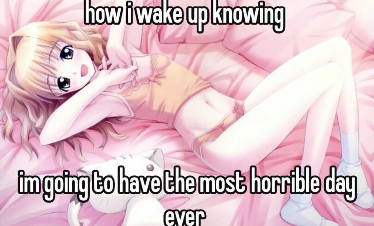 𝗌𝖺𝗒𝖺 𝗈𝖿 𝗌𝗁𝖾𝖽𝗍𝗐𝗍 🥩🪽୧ ‧₊˚ ( ≧ᗜ≦) tweet media