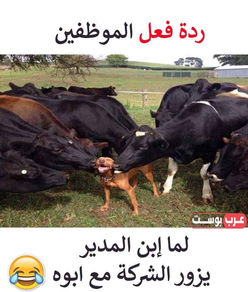 هغه یاران دې نه خفه کیږي😜
کله چې رئیس صاحب د خپل زوی سره یوځای دفتر ته راننوځي نو د مامورینو دغه حال وي.