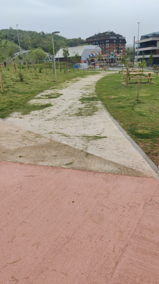 Dos cortando hierba... No será mejor que uno corte y otro vaya limpiando?? Porque no se puede andar por ningún camino🤷🏻‍♀️🤷🏻‍♀️ lo hacen así también en tu ciudad??