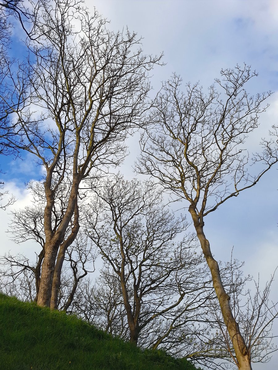 Lee Broughton tweet media