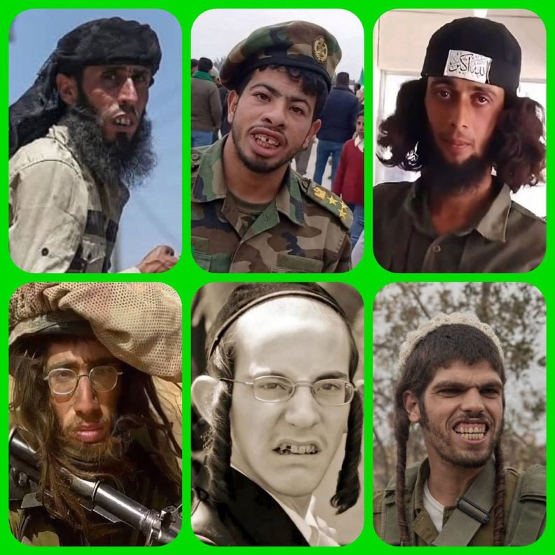 Gökçe Katun tweet media