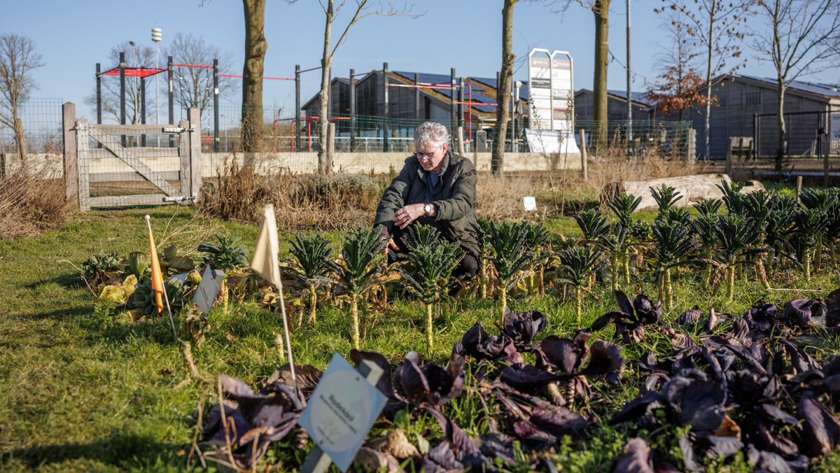 Provincie Noord-Brabant tweet media