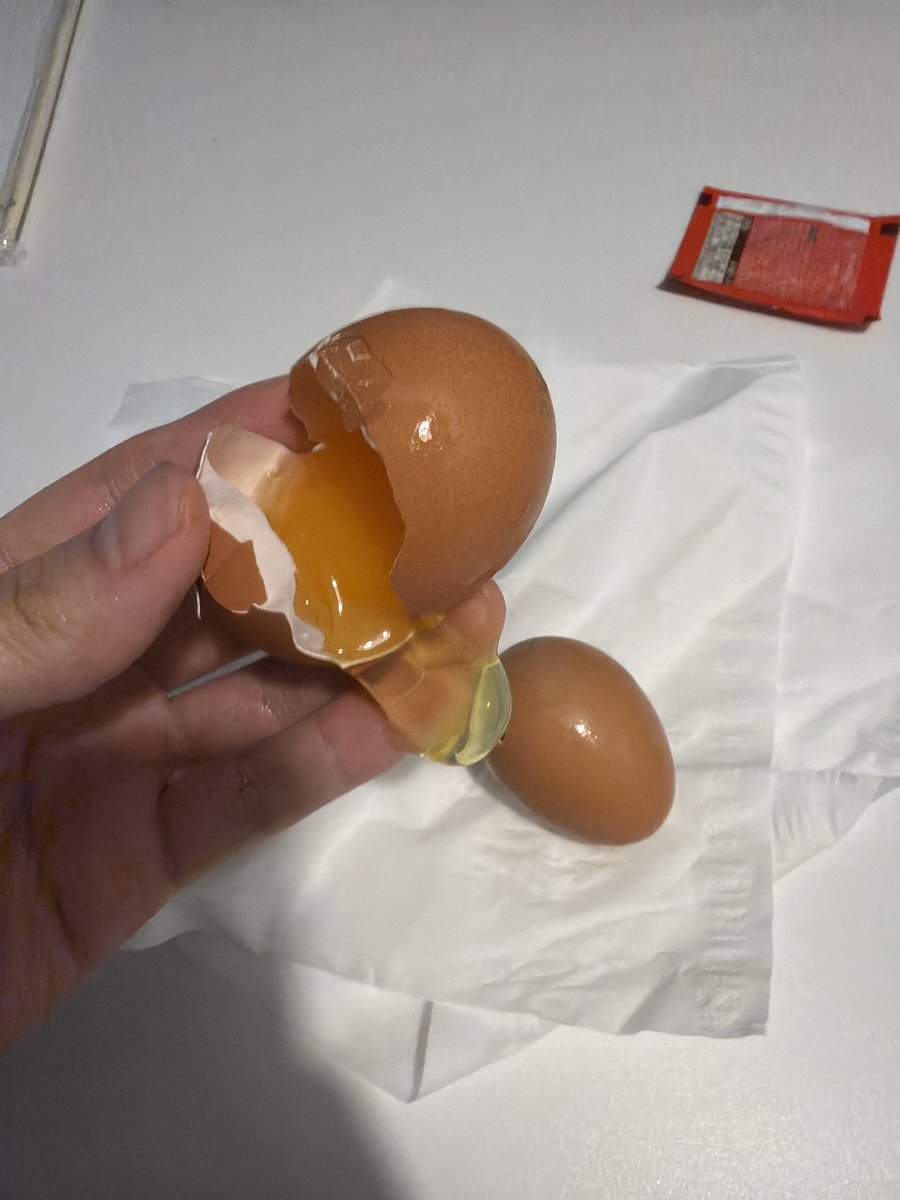 🐶🎸 tweet media