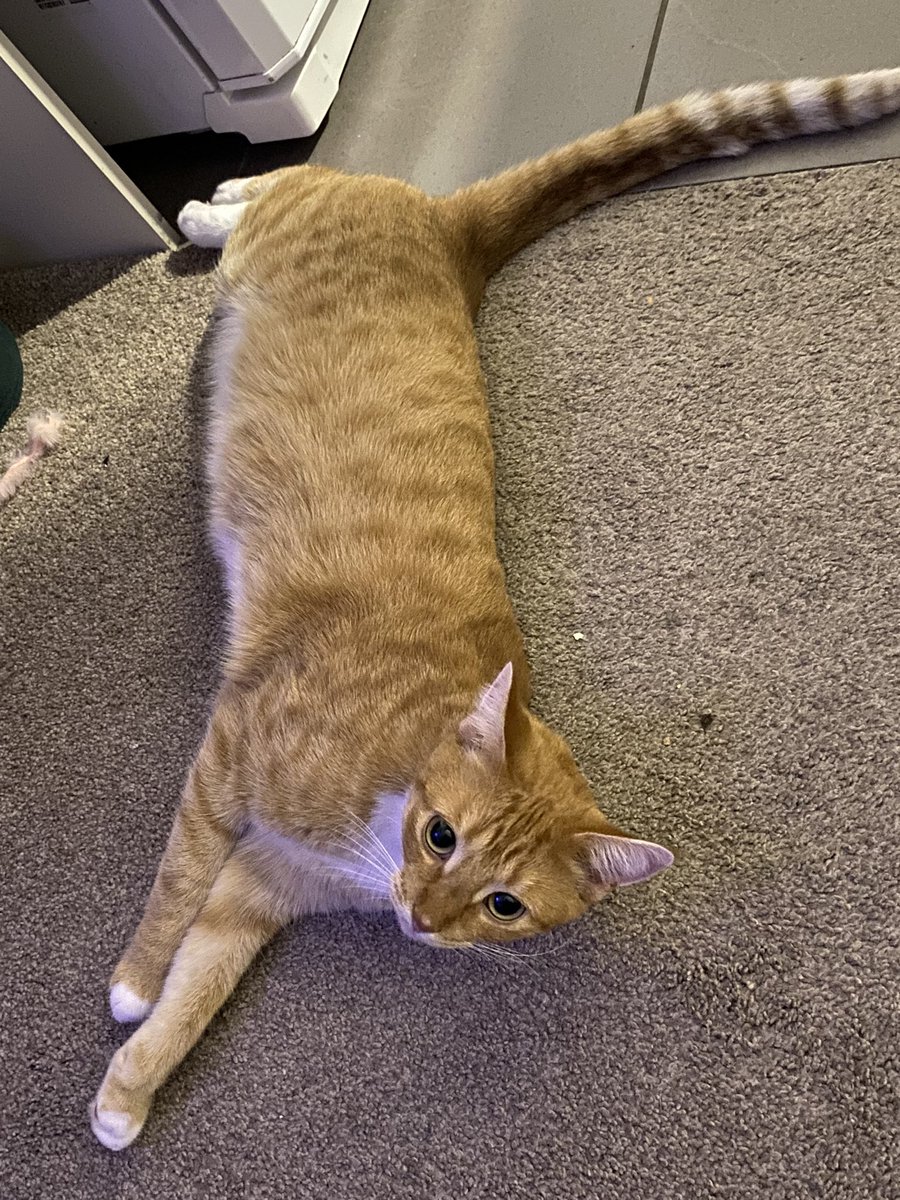 Casper ༻ tweet media