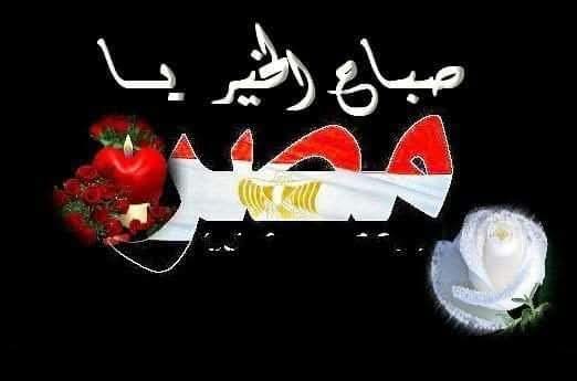 om hamada ezo tweet media