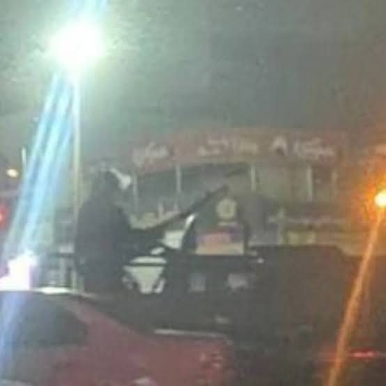 ریضا tweet media