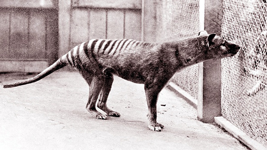 iambhola1983's tweet image. हमारे पर्यावरण में हर किसी का अपना महत्व है। इसलिए हमें सभी के हितों का ध्यान रखना चाहिए।
#pollution #sprrrow #saveearth