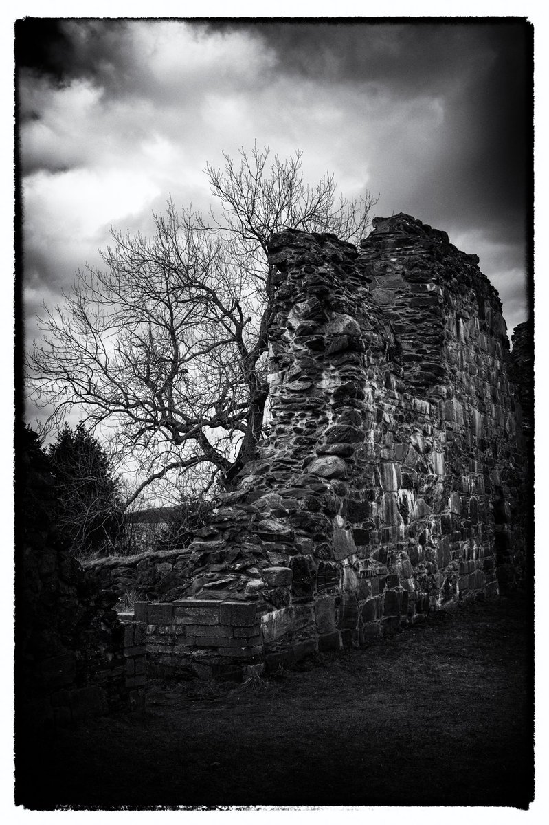 Tautra klosterruiner