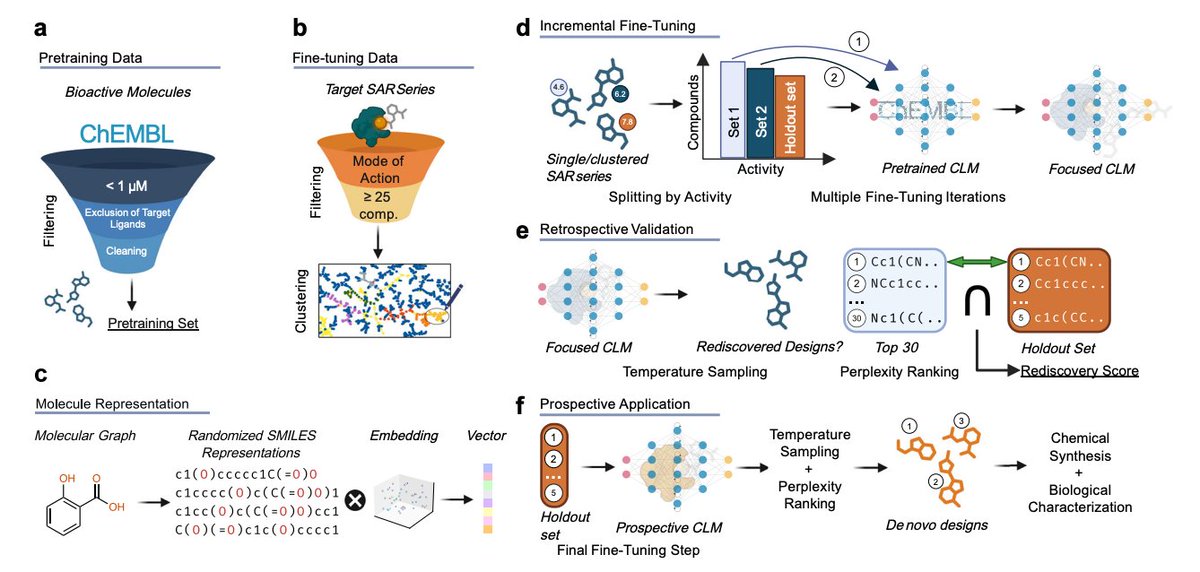 bravo_abad's tweet image. Incrementally trained language models design drug molecules more potent than their training data

Chemical language models (CLMs) are now standard for de novo molecular design: pretrain on millions of SMILES, fine-tune on ligands for a target of interest, sample candidates. But