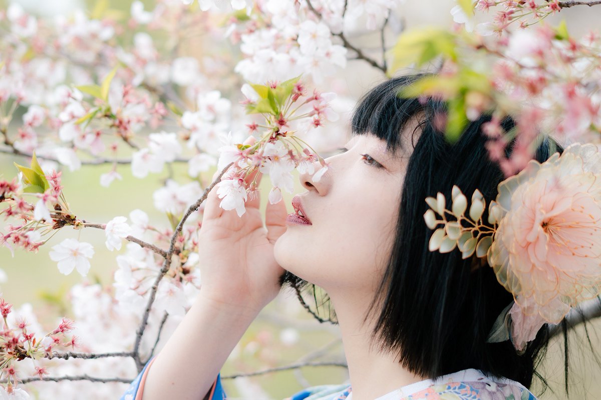 TamoriKMN's tweet photo. 花びらにも緑を入れることによって透明感が爆発���てる
牡丹の花の髪飾り作家様↓
@mocha_floresta ふろれすた＠もか様
#ディップアート　#dipart
#DipArt　#芍薬　#牡丹
提供(ディップアート所有者)@gxholic  Leo様
撮影@eijers　エイジャーさん📸
#たもり和装ポートレート
#TLを花でいっぱいにしよう https://t.co/LgEkBvsBnu