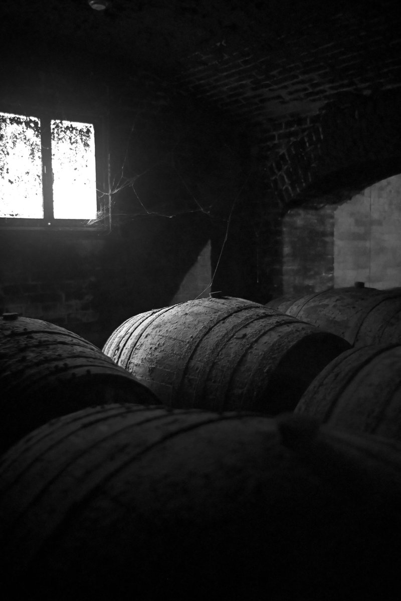 お疲れ様です。
明日は雨が降るようです。

カメラ　Zf
レンズ　auto w.rokkor-hg 35mm f2.8

#ニコン #オールドレンズ　#ジャンクレンズ　#ミノルタ