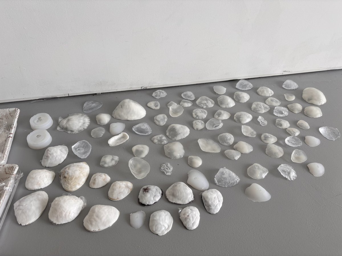 透明になるもので貝殻沢山作ってる
シリコン
レジン
粘土