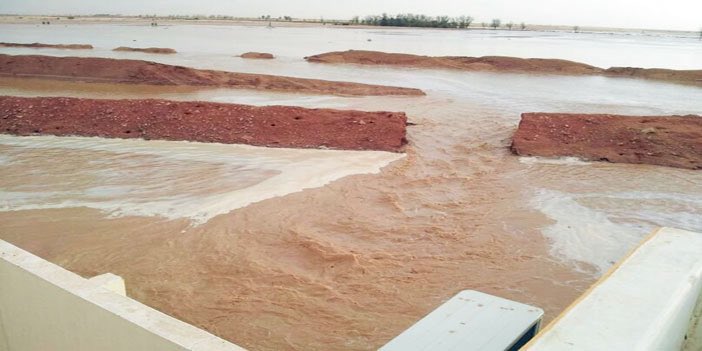 أبو محمد tweet media