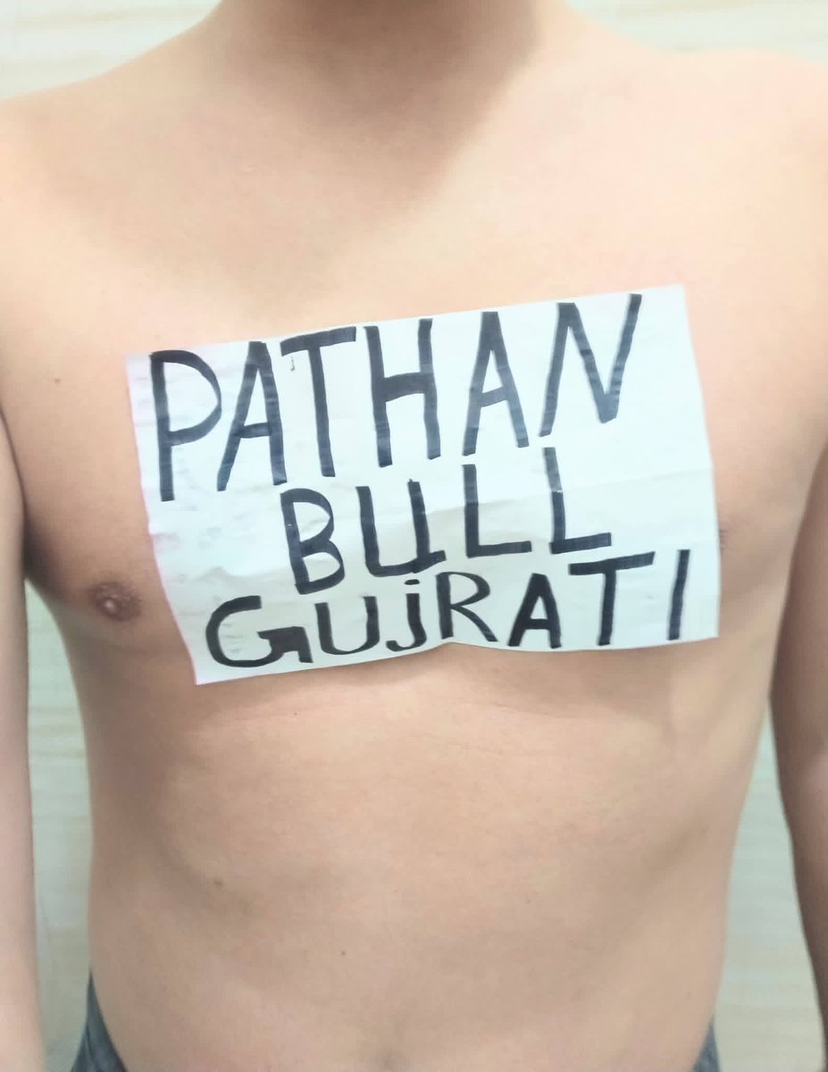 Pathan bull gujarti tweet media