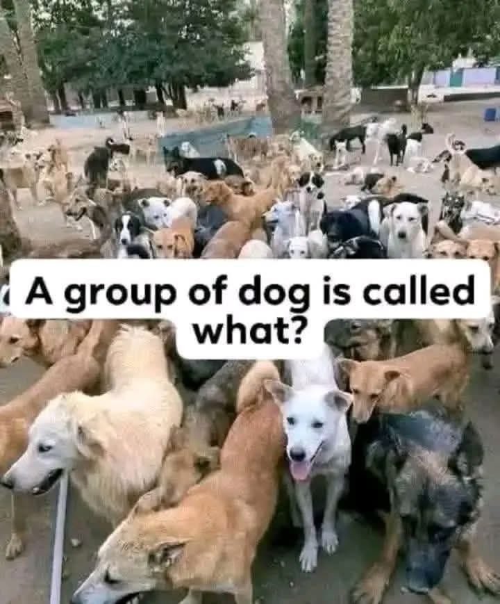 Ron wright tweet media