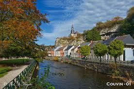 Sunflower 🇧🇪 tweet media