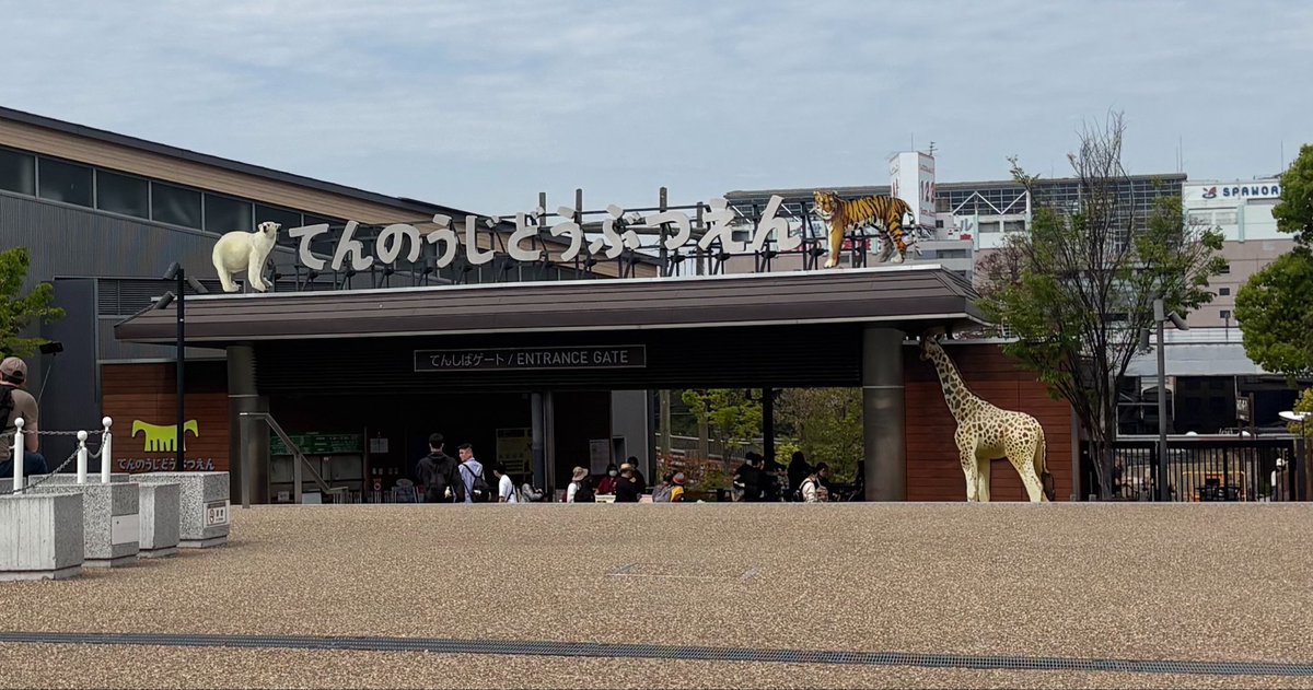 まぁさ tweet media