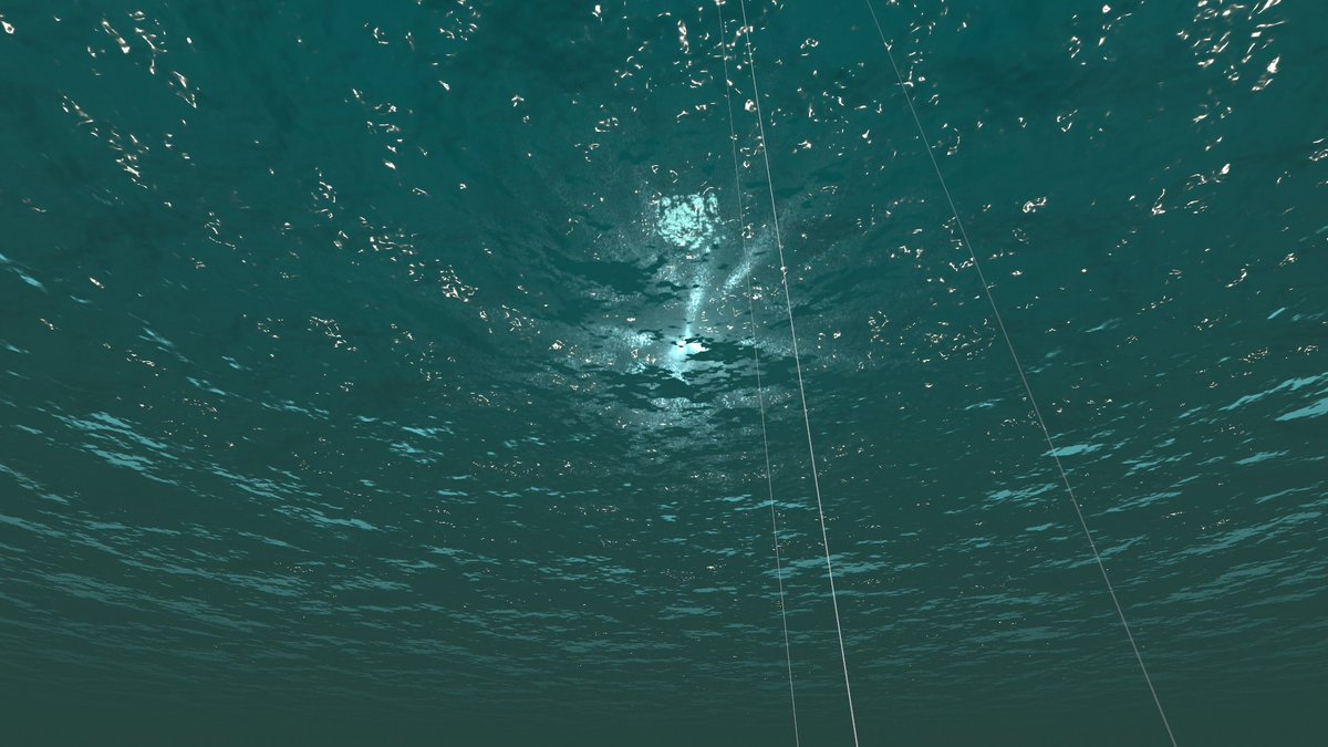 もここ tweet media