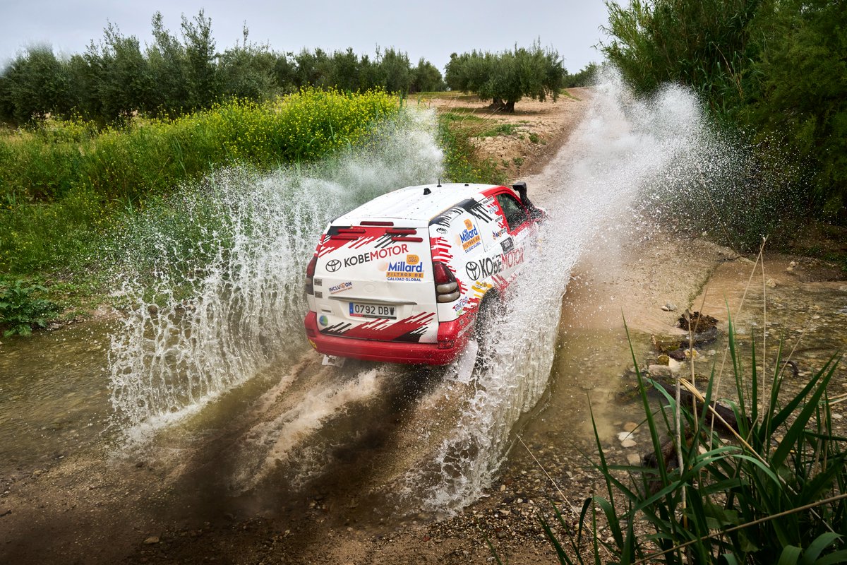 Mediagé Comunicación tweet media