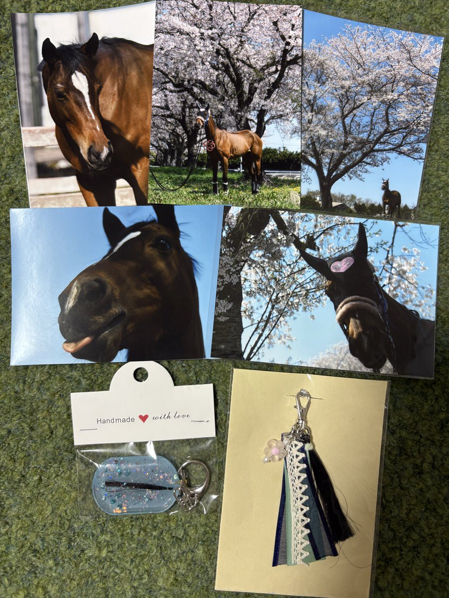 ゆきのねこだま tweet media