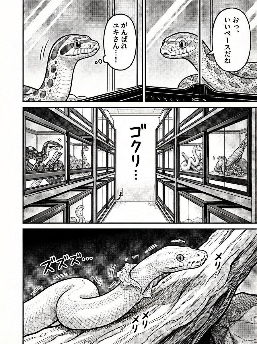 MOOTOON【公式】 tweet media