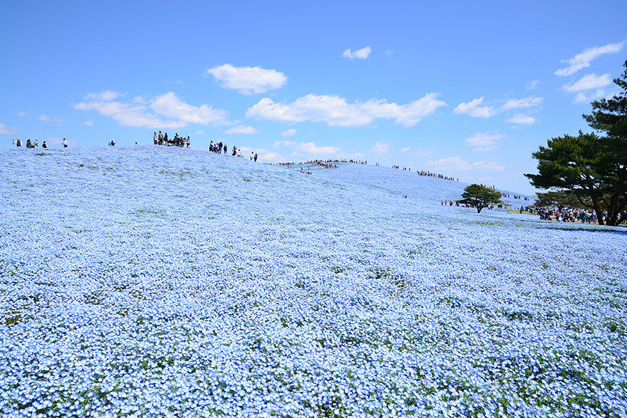 極上の旅図鑑 tweet media
