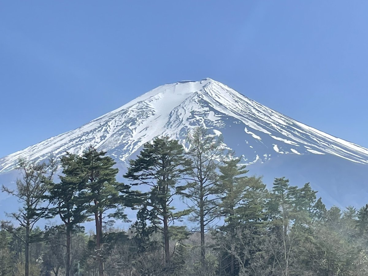 ⭐️とも⭐️ 🍚໒꒱ tweet media