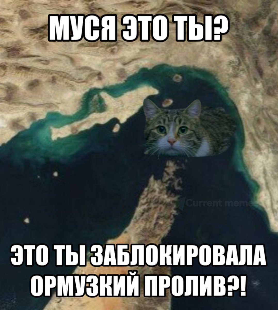 AbelFrost tweet media