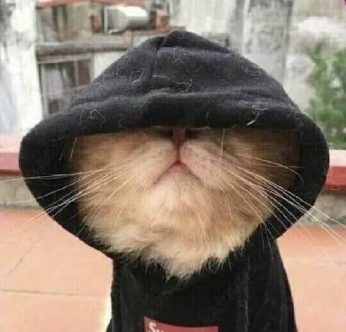 🅿️resh tweet media