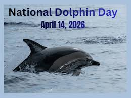 maelys40's tweet image. #NationalDay #NAtionalDolphinDay #14April
#Dolphin #Dauphin
