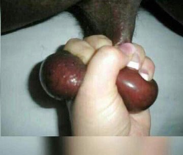 BIG LEO 🦅 tweet media