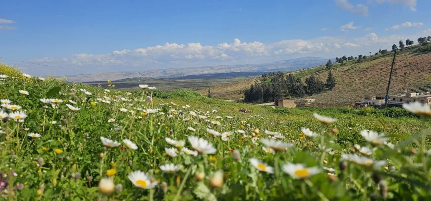 Rojava Gündemi (YENİ) tweet media