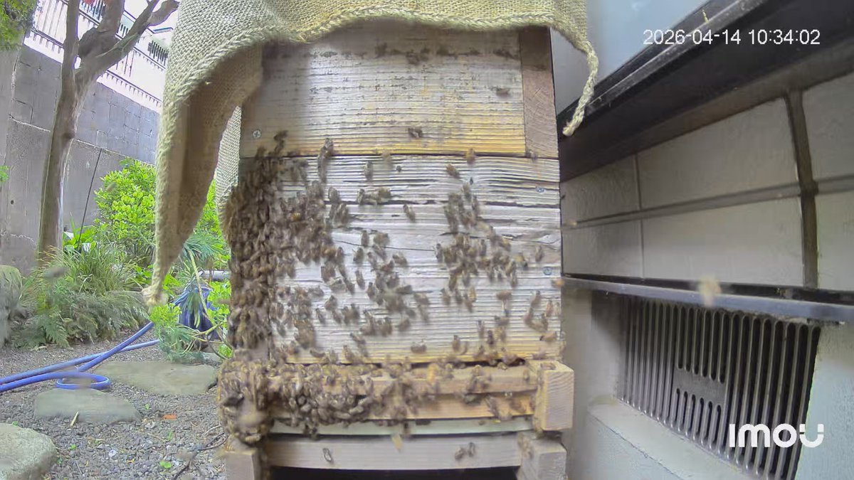 デレゲイツが再び tweet media