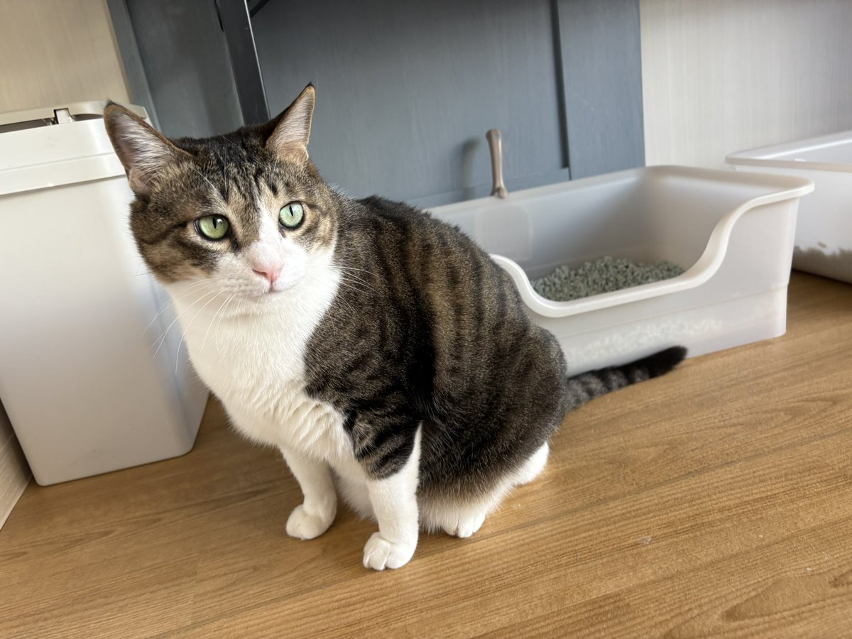 らいふ　3月21日　紫今Lavt tweet media