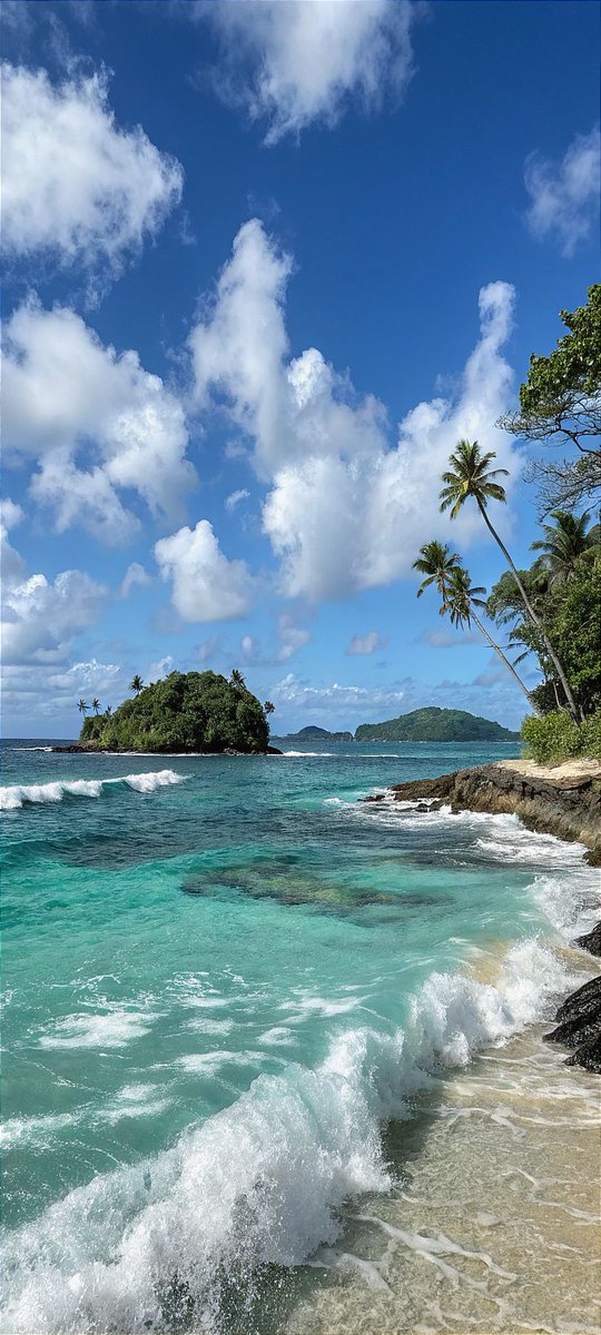 أبـو إيـﹻـاد tweet media