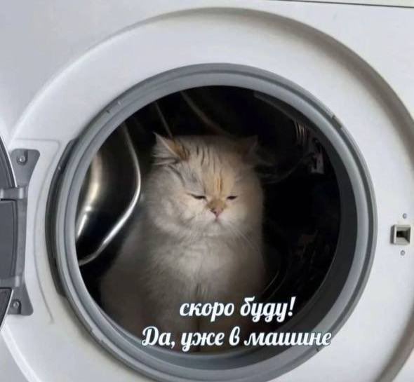 бармен, повтори tweet media