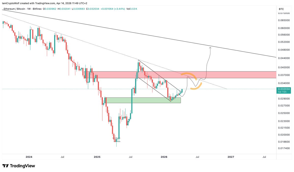 Wolf 🐺 tweet media