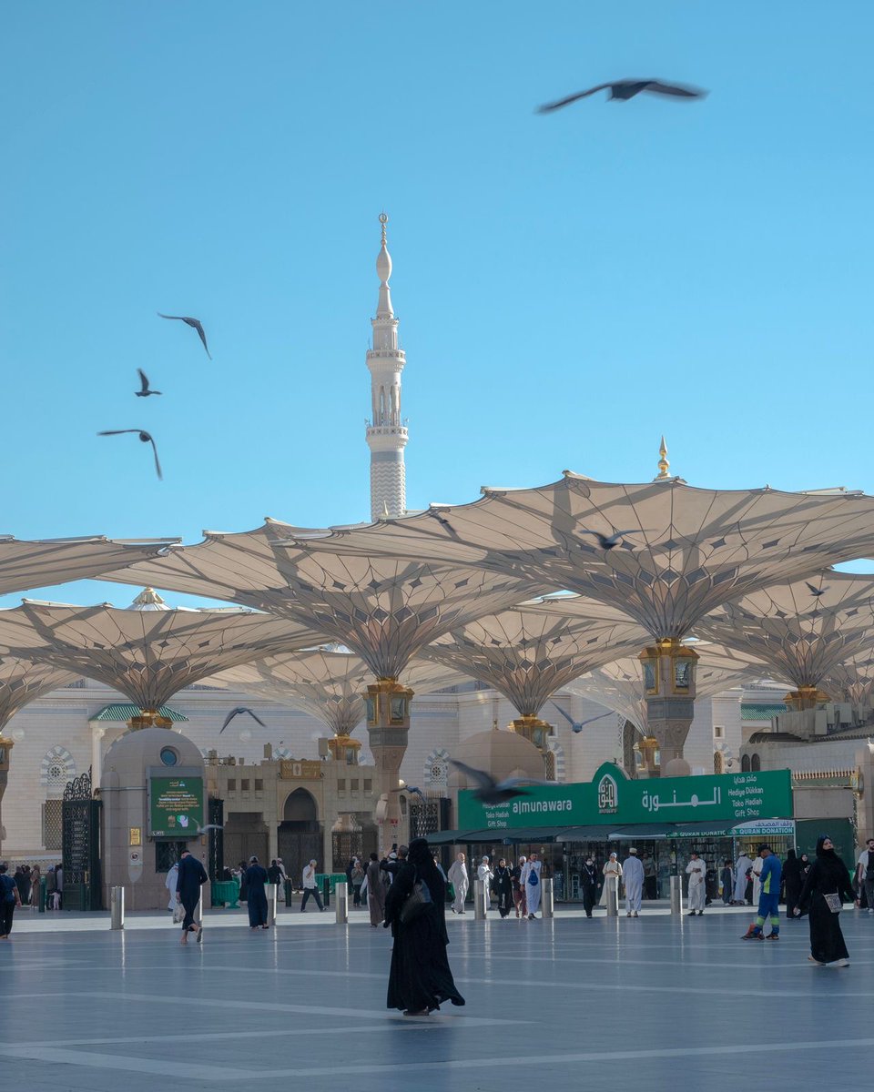 أمانة منطقة المدينة المنورة tweet media